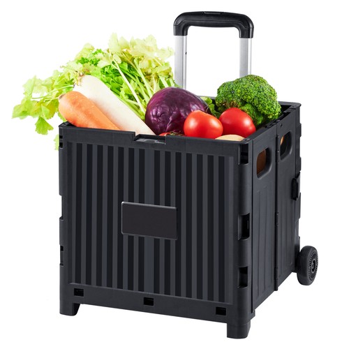 Chariot caddie courses - de,