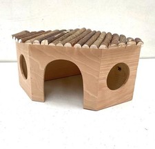 Coin De Noisette Pour Cobayes