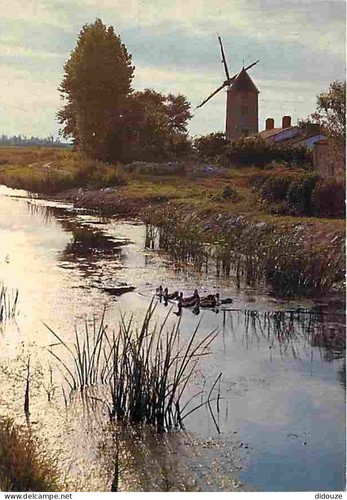 Carte postale vendée - carte,