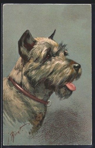 Carte postale artiste - postale, d'artiste