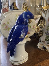 Rarissime GRAND PERROQUET Bleu