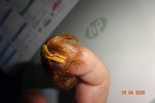 Perruque en  pour poupée