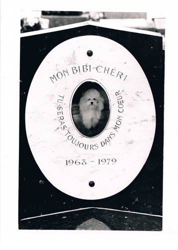Pierre tombale chien vintage - pierre,