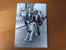 PAPA POULE - Jacques Rispal -