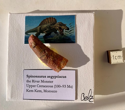Mini art display - mini,