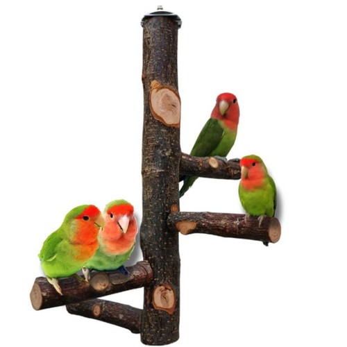 Perchoir bois naturel pour - perchoir,