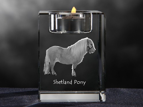 Shetland poney bougeoir en - shetland, poney,