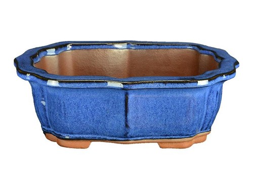 Pot bonsaï ovale forme - pot, (forme