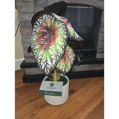 Artifical foliage plant - 2,