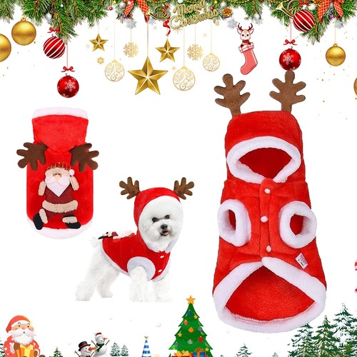 Deguisement chien chat noel - chat,