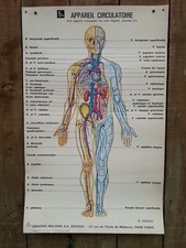 ANCIENNE AFFICHE MEDECINE -LE