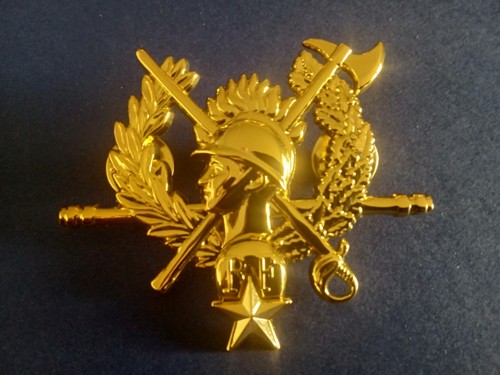 Sapeurs pompiers insigne - sapeurs-pompiers, /