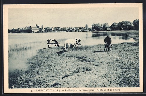 Cpa paimpont étang - l´étang, avec