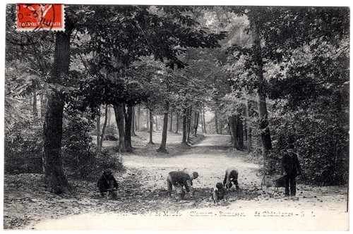 Cpa clamart bois de - cpa,