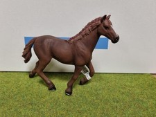 13855 - Jument Pur-sang