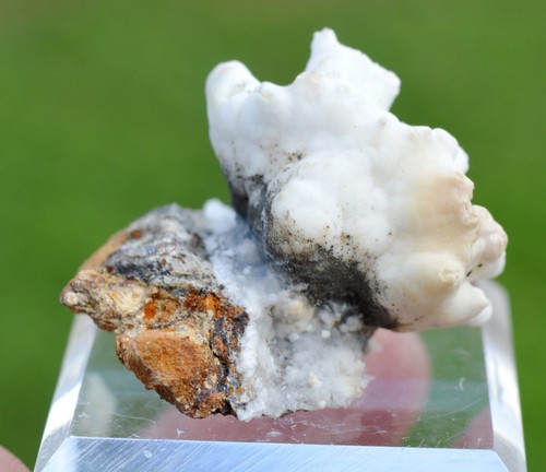 Aragonite flos ferri - ferri", 19