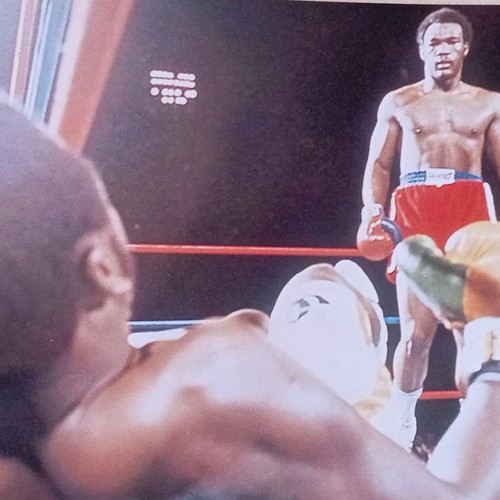 Poster boxe multicolore photo - boxe,