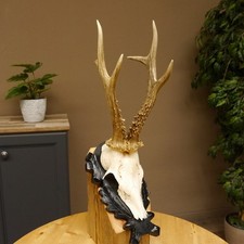 Bois de Cervidés Chevreuil