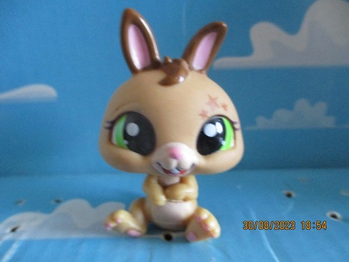 Petshop lapin nain 1497 - lapin,