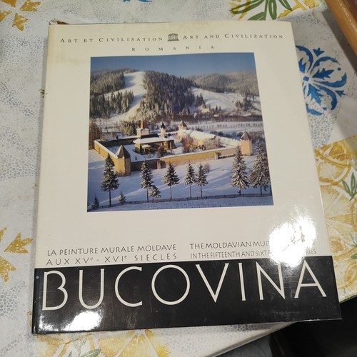 Ca873 bucovina peinture - bucovina, la
