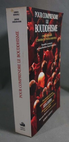 Pour comprendre bouddhisme - pour, le