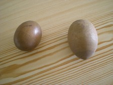 oeufs à repriser couture bois