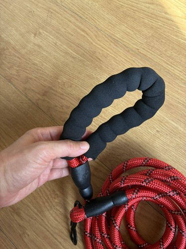 Laisse chien réfléchissant