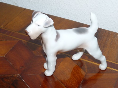 Superbe chien fox terrier - chien,