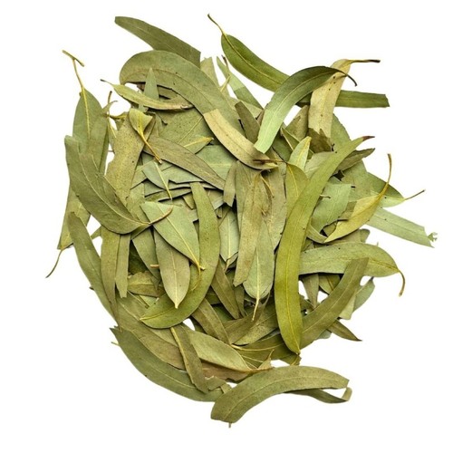 Tisane eucalyptus feuille - eucalyptus,