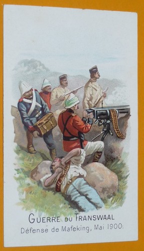 Chromo 1901 1914 chicoree - chromo,