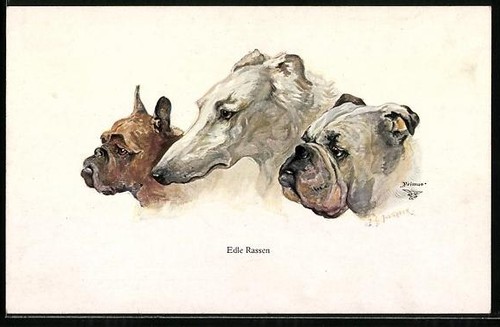 Carte postale artiste - carte, d'artiste