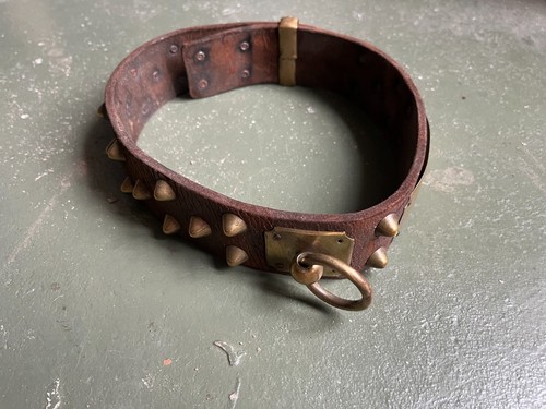 Collier chien molosse - chien,