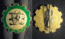 INSIGNE MILITAIRE – 42°