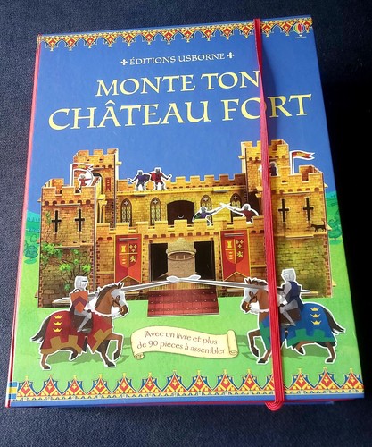Monte ton château fort 2014 - ton,