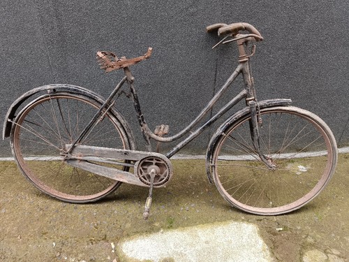 Vélo pour femmes - femmes, anni