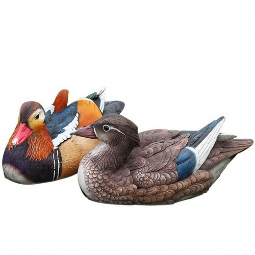 Canards mandarins flottants - mandarins,