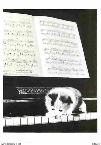 Carte postale animaux - postale,