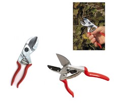 Felco 31 Sécateurs Pour