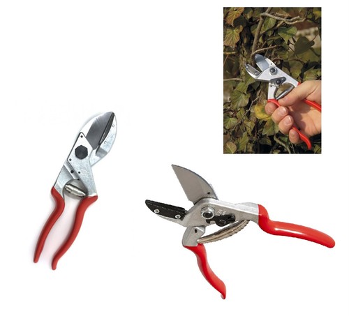 Felco sécateurs pour - 31,