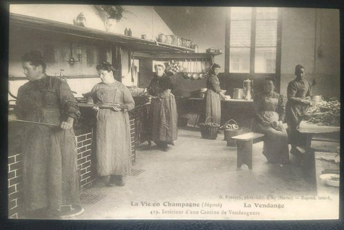 Carte postale vie champagne - carte, en