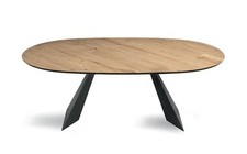 Table Ovale Design Moderne