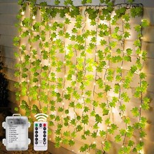 Guirlande Lumineuse 10M 100