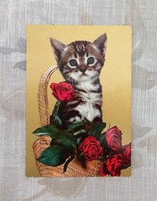 Carte Postale Ancienne Photo