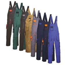 Homme Travail Peintres