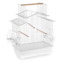 XXL ZooPaul Cage + Bains Publics Boire des Tubes Perruches Ondulées Canaris