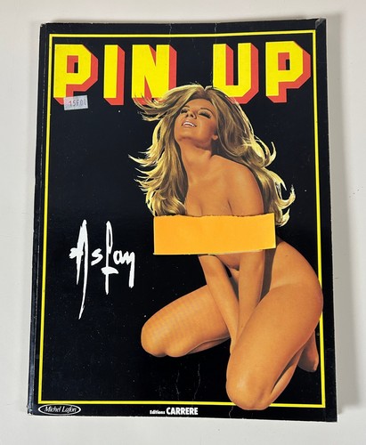 Aslan pin michel - pin, lafon