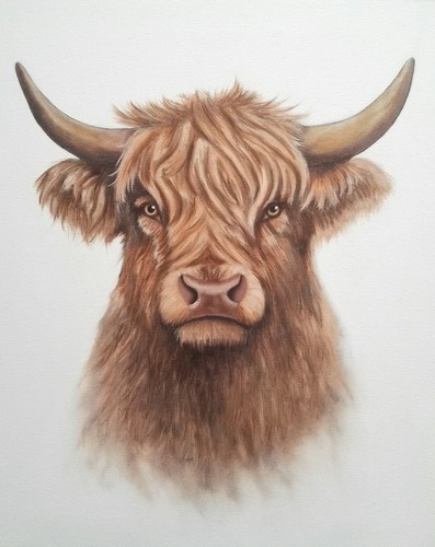 Peinture vache huile sur - vache,,