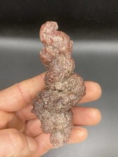 4.21" / 10,7 cm Coprolite Poo