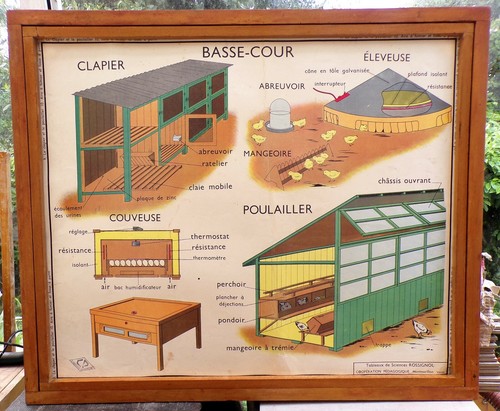 Ancienne affiche scolaire - ancienne,