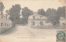 BUC - Porte du Cerf Volant et route du Bois de Satory 20111
